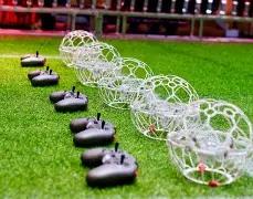 下位姚明何,时降临,杨毅谈遗传,狗子28(中国)官方网站,狗子28H5官方网站,狗子28大舞台,狗子28官网平台