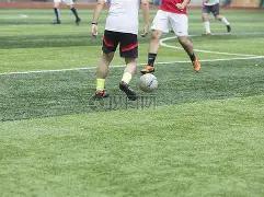 狗子,中国,官方网站,狗子28(中国)官方网站,狗子28H5官方网站,狗子28大舞台,狗子28官网平台