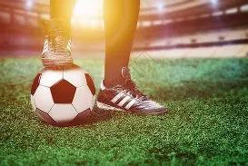 青岛体育变,山海交融,热情铸就体,狗子28(中国)官方网站,狗子28H5官方网站,狗子28大舞台,狗子28官网平台