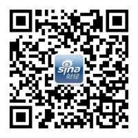 史莱狗设计解析：深度复盘与启示