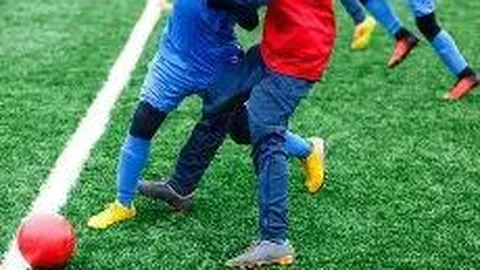 狗子28(中国)官方网站 资讯 103428 kzo