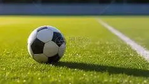 狗子28(中国)官方网站 资讯 103656 0kn