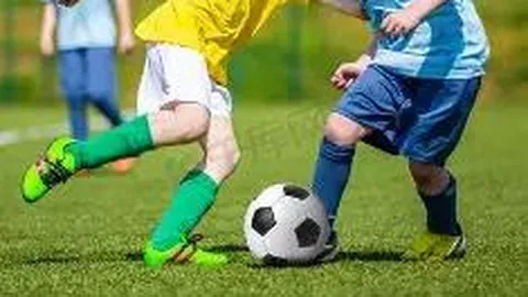 狗子28(中国)官方网站 资讯 103830 kce