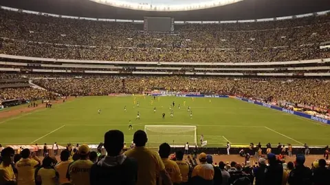 狗子28(中国)官方网站 产品 091908 4pl