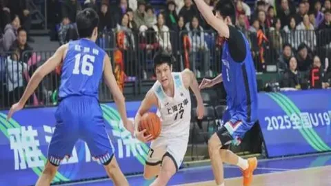 辉煌逆袭！上周狂涨+6%，谁能挑战极限，再攀高峰？